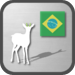 Decoder PORTUGUESE (Brazilian) Pronunciation Guide